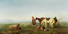 A shepherd in the Caucasus