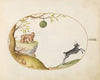 A ‘Simivulpa’ (Opossum) and an Ibex (1575-1590)