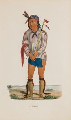 A Sioux Chief (1835)