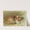 A sleeping cat by Henriëtte Ronner-Knip