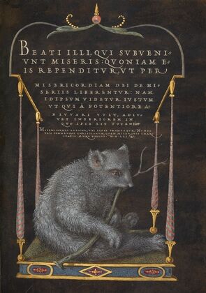 A Sloth (1561–1596)