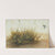 A Small Piece of Turf by Hans Hoffmann