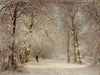 A snow covered path in winter