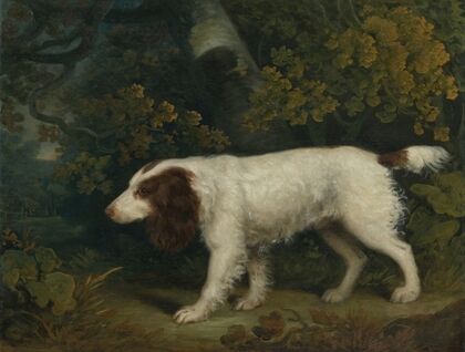 A Spaniel in a Landscape
