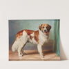 A St Bernard by Carl Reichert