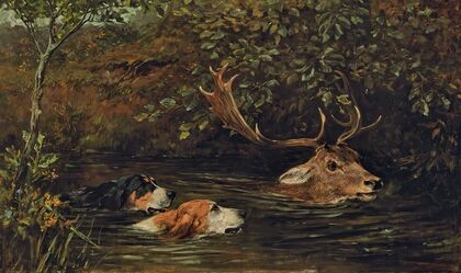 A Stag At Bay
