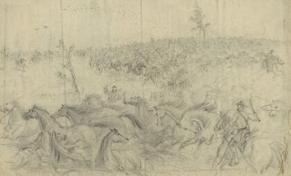 A stampede of army horses