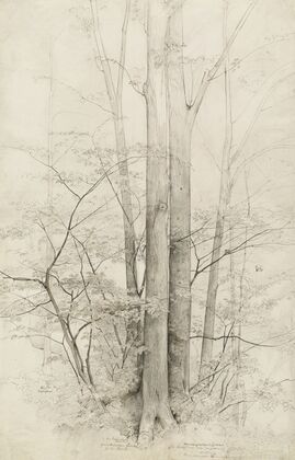 A Stand of Trees (1840)