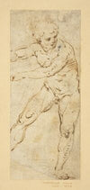 A Standing Male Nude