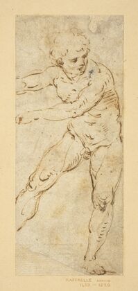 A Standing Male Nude