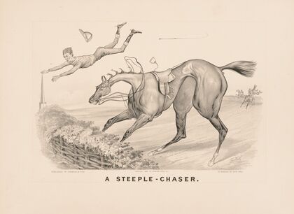 A steeple-chaser (1880)