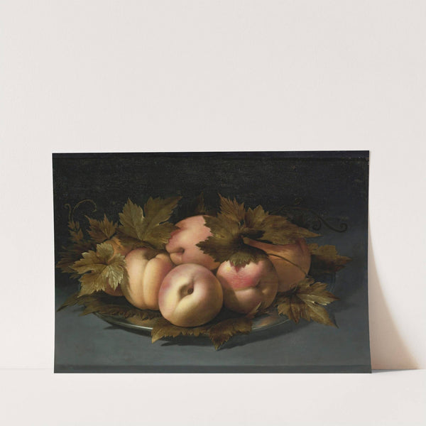 A Still Life Of Peaches On A Pewter Plate by Panfilo Nuvolone