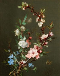 A Still Life With Branches Of Cherry Blossom, Periwinkle And Viburnum Together With A Butterfly (1846)