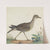 A Stone Curlew (ca. 1790) by George Edwards