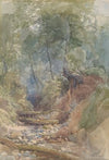 A Stream Near Clovelly, North Devon