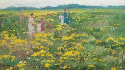 A Summer day