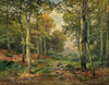 A Sun-Lit Forest with a Roe Deer