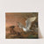 A swan attacking a dog by Abraham Hondius