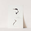 A synopsis of the birds of Australia, and the adjacent Islands Pl.73 by Elizabeth Gould
