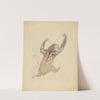 A Three-fingered Sloth by James Sowerby