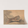 A Tigress Leaping to the Right by Samuel Howitt