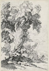A Towering Tree with Travelers
