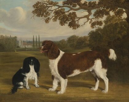A Toy Spaniel and a Springer Spaniel in a Landscape, a Church in the Distance
