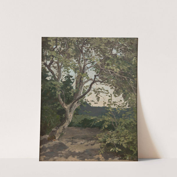 A Tree. Study by Anna Nordlander