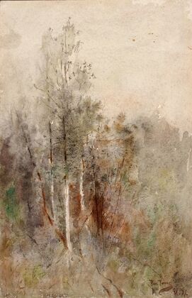 A Tree Study — size preview