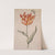 A Tulip With A Butterfly by Dutch School