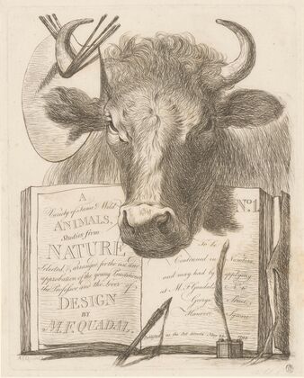 A Variety of tame and wild animals, studies from nature – Title (1793)