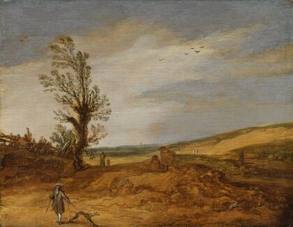A View in the Dunes