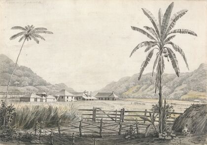 A View of Hall-head Sugar Plantation, Jamaica