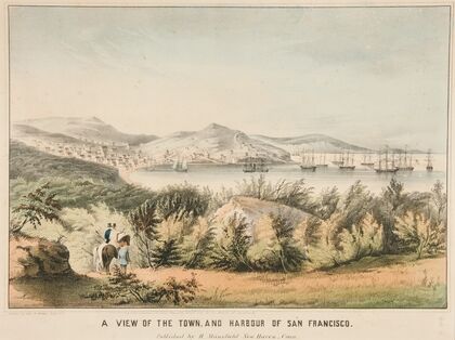 A View of the Town, and Harbour of San Francisco