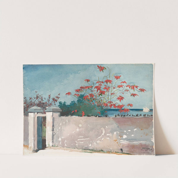 A Wall, Nassau (1898) by Winslow Homer