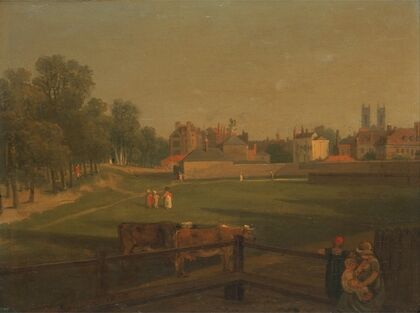 A Western View of part of Westminster and Bird Cage Walk taken from the Mill House…,