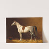 A White Horse in a Stable (1893) by Emil Volkers