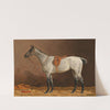 A White Horse in the Stable (1896) by Emil Volkers