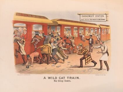 A wild cat train; no stop overs (1884)