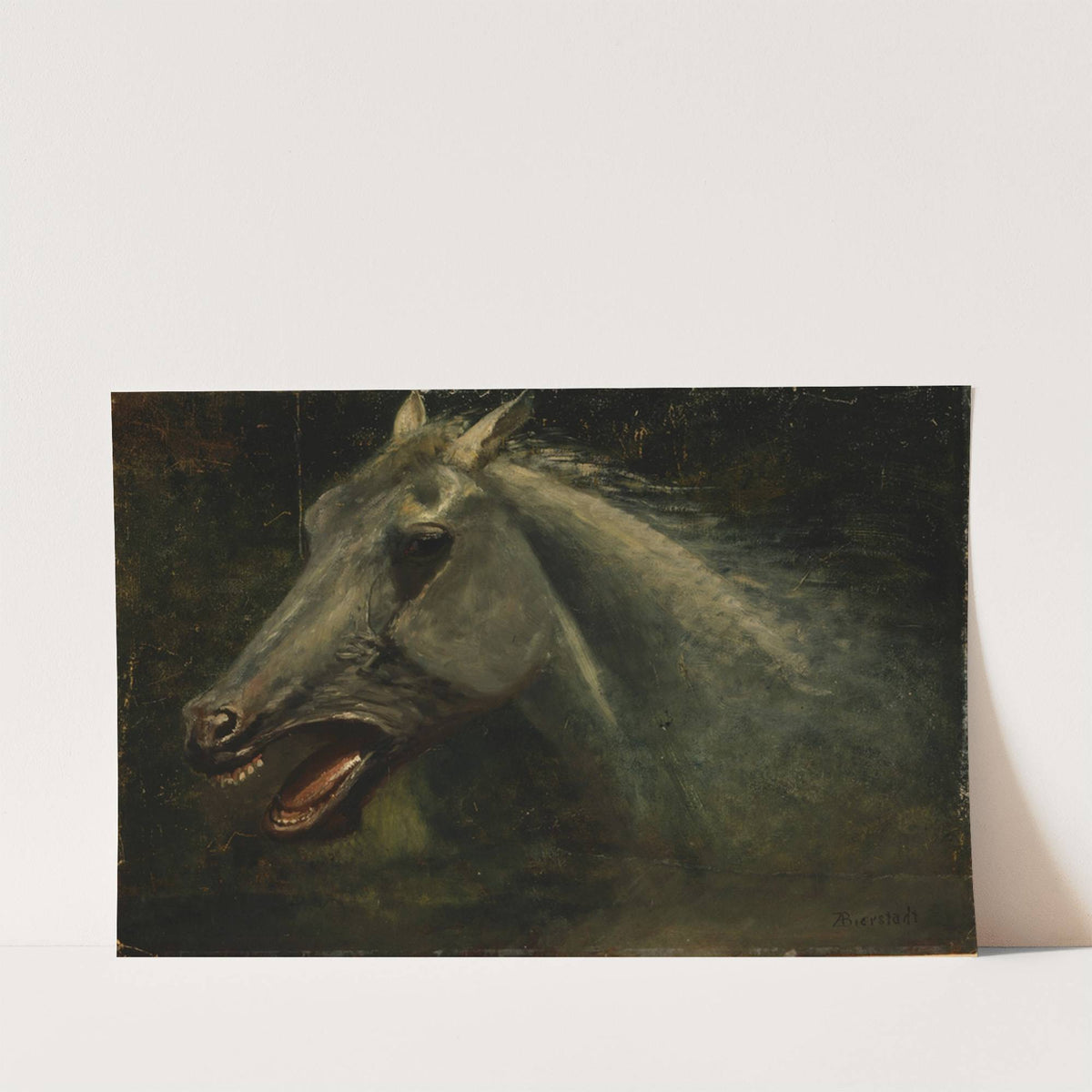 A Wild Stallion (an original oil sketch for ‘The Last of the Buffalo’) (circa 1888) by Albert Bierstadt
