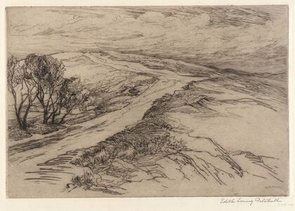 A Windswept Road