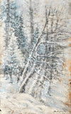A Wintry Forest
