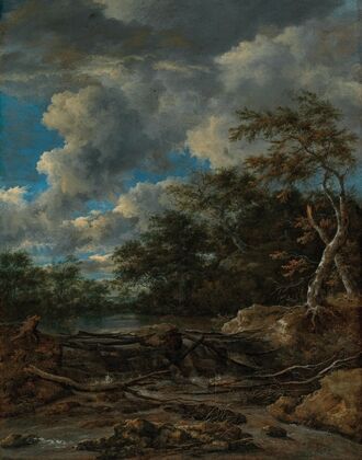 A wooded landscape with a waterfall