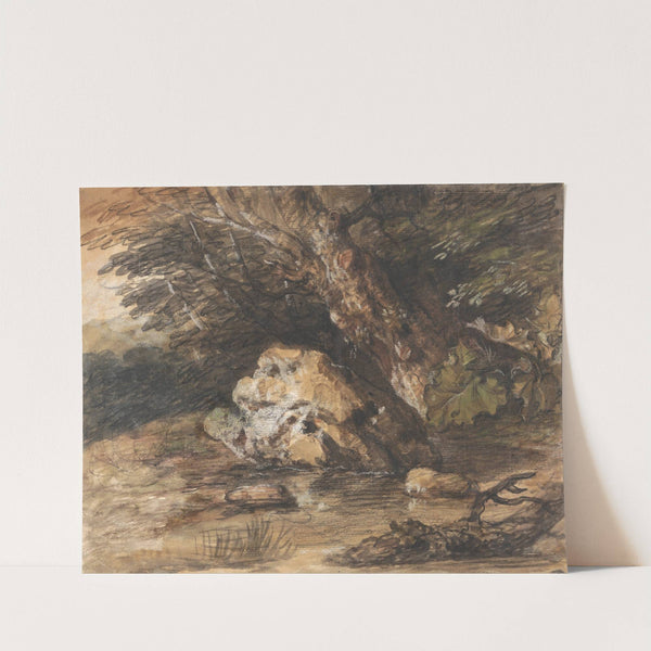 A Woodland Pool with Rocks and Plants by Thomas Gainsborough