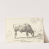 A Young Bull Grazing by Hendrik Voogd