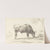 A Young Bull Grazing by Hendrik Voogd