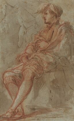 A Young Man (16th century)