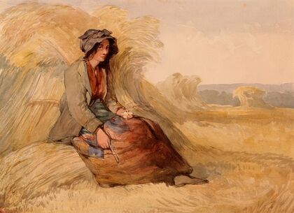 A Young Woman Resting in a Cornfield