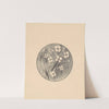 Aankondiging met insecten en bloemen voor serie &#039;Dierstudies&#039; by Theo van Hoytema