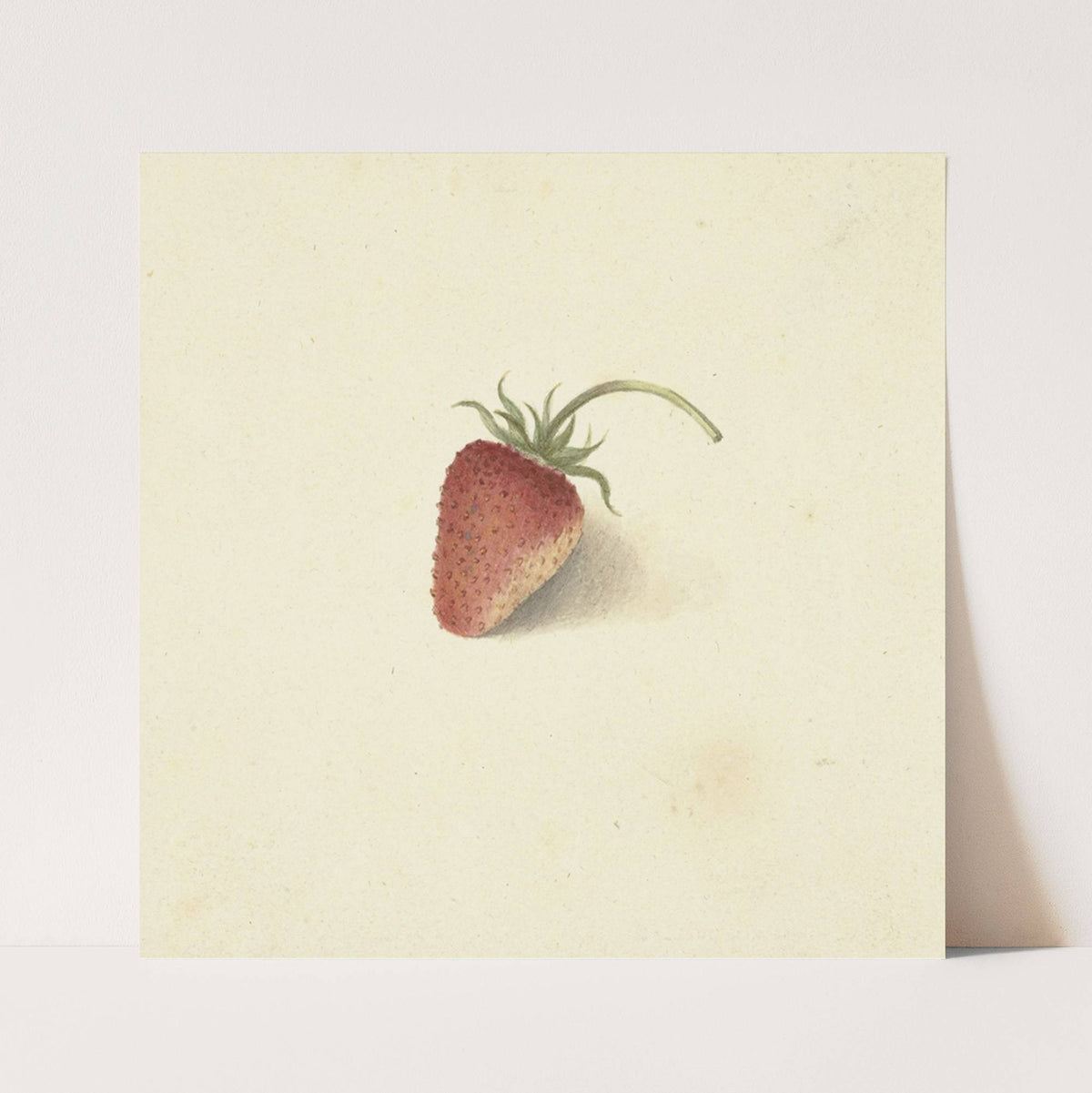 Aardbei by Elisabeth Geertruida van de Kasteele